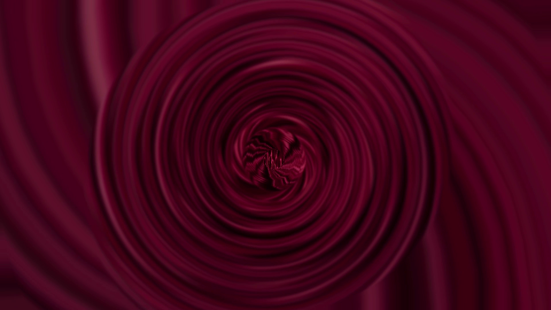 birds-eye view of red rose