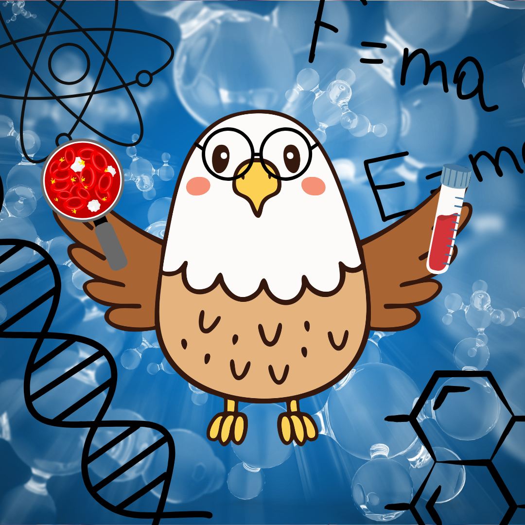 Molecules in Motion: 3D Printing Interactive Protein Models for the Classroom