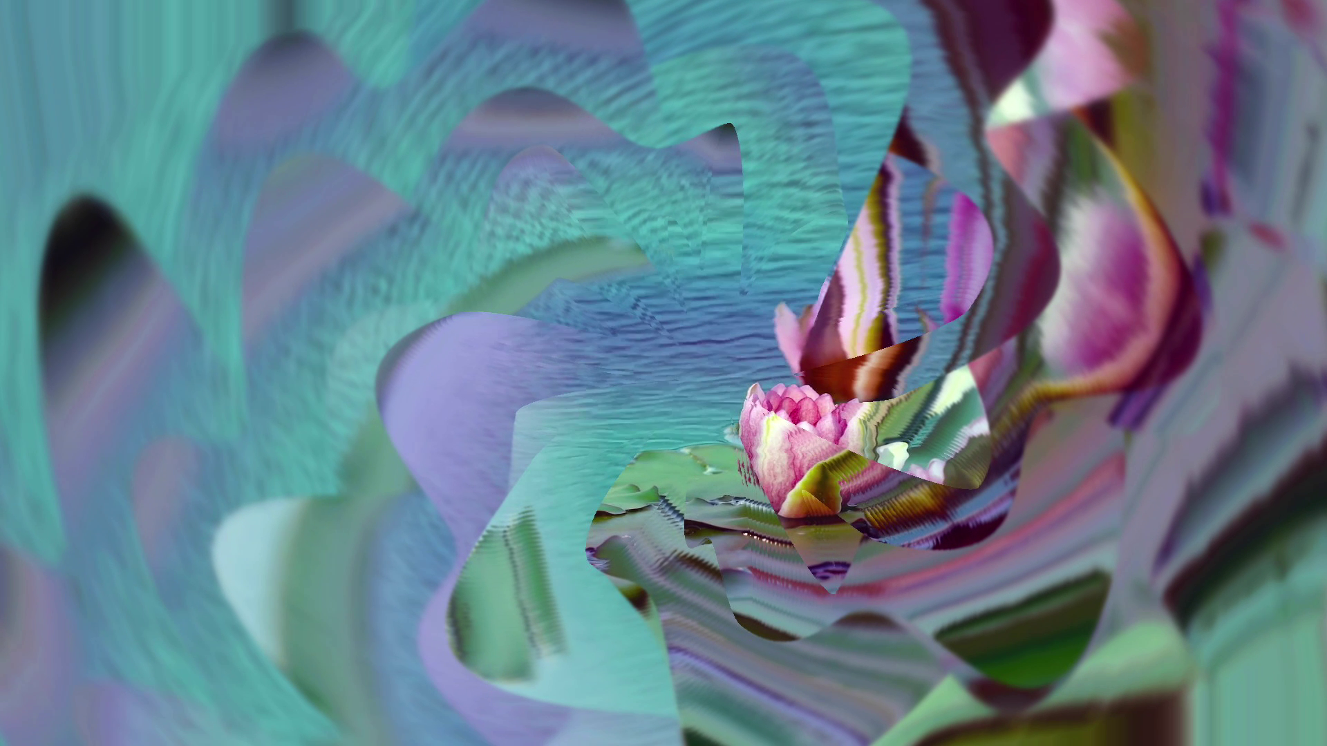 lotus pond with circular filter