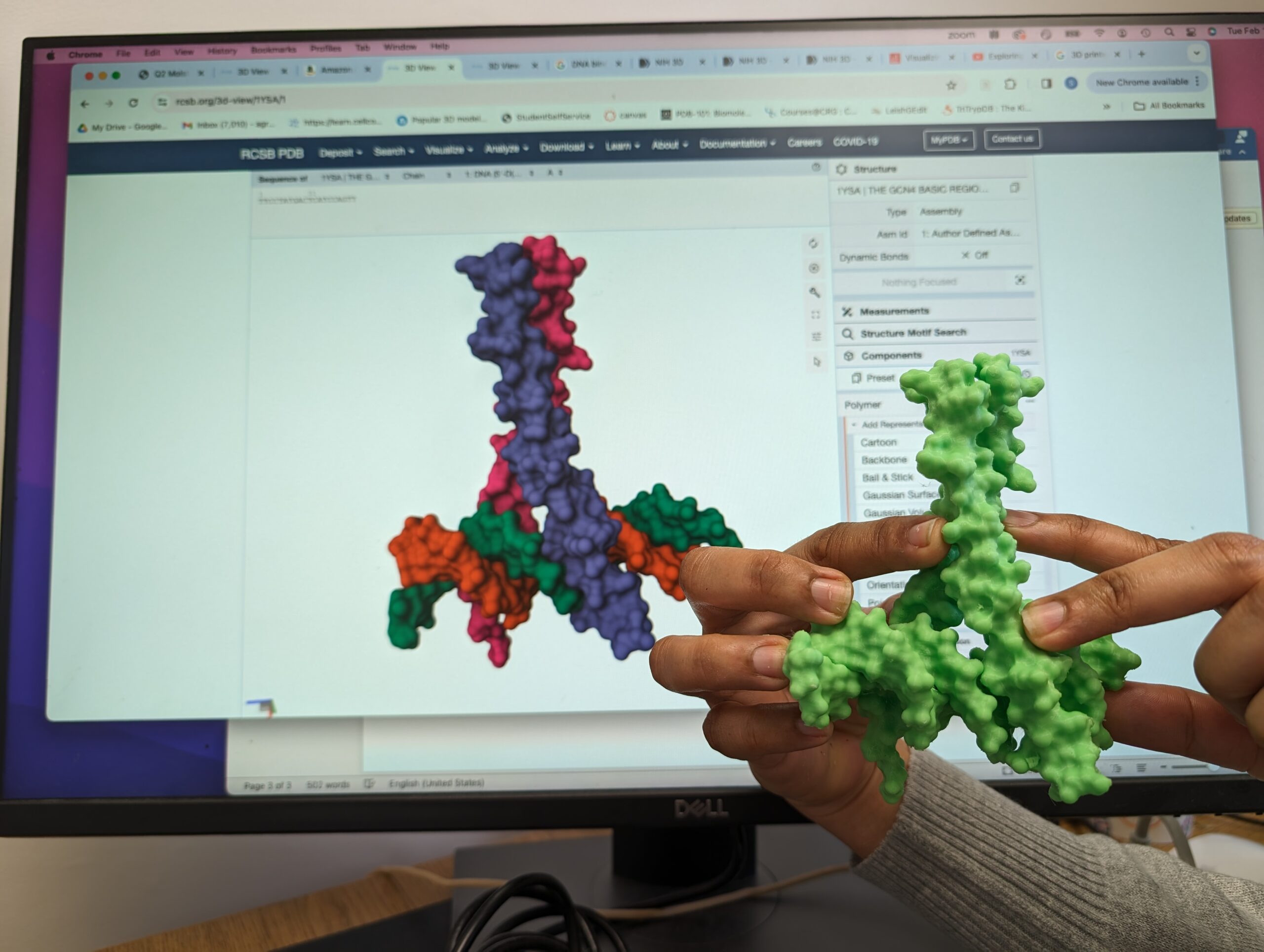 a 3D printed molecule being held in front of a screen depicting the digital version of the 3D model