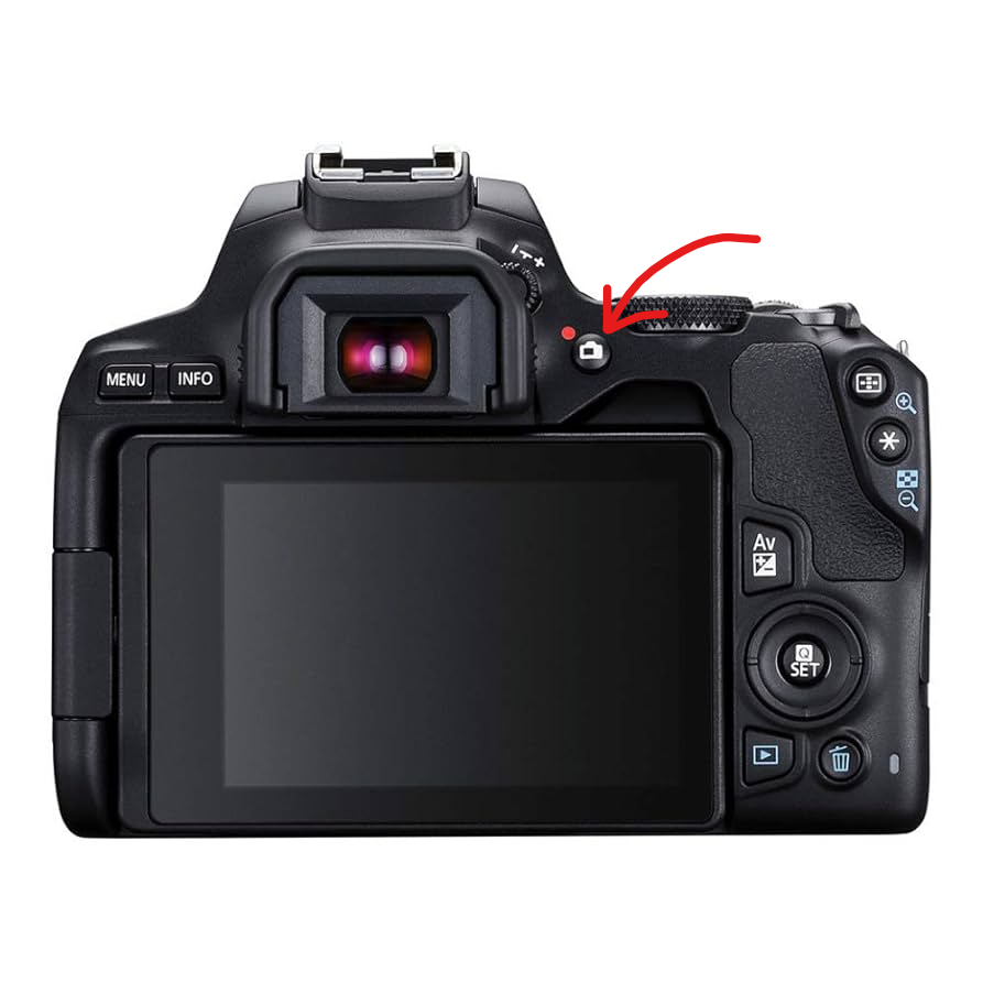 rear view of Canon camera with video record button highlighted